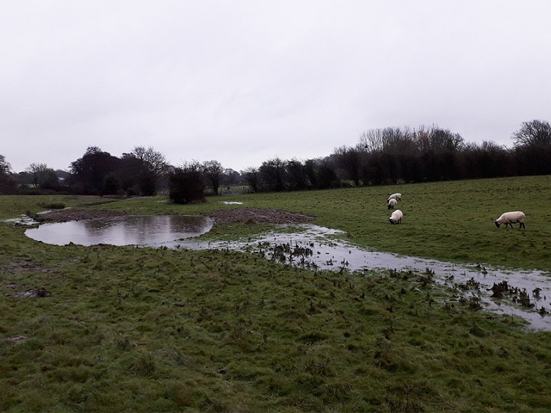 Our Working Washland complete
